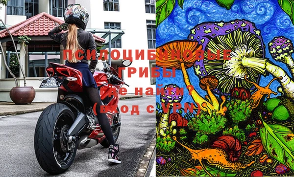 apvp Новозыбков