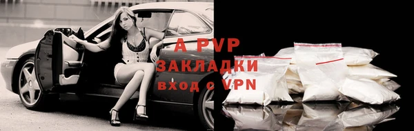 apvp Новозыбков