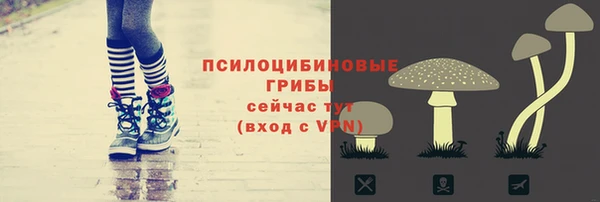 mdpv Липки