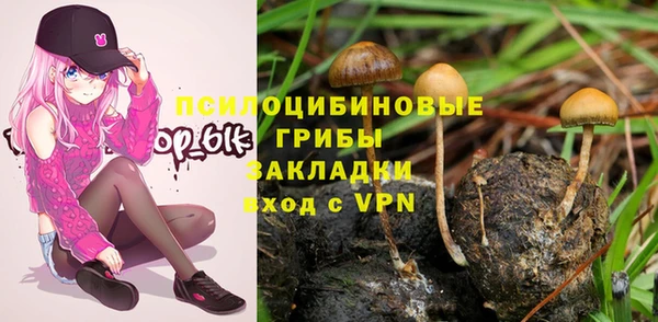 первитин Новокубанск
